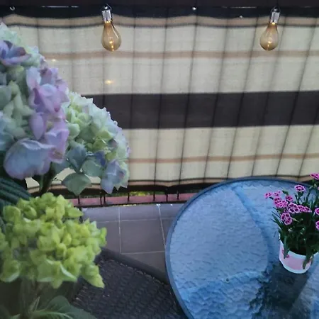 Apartament Kupiecka Apartment *